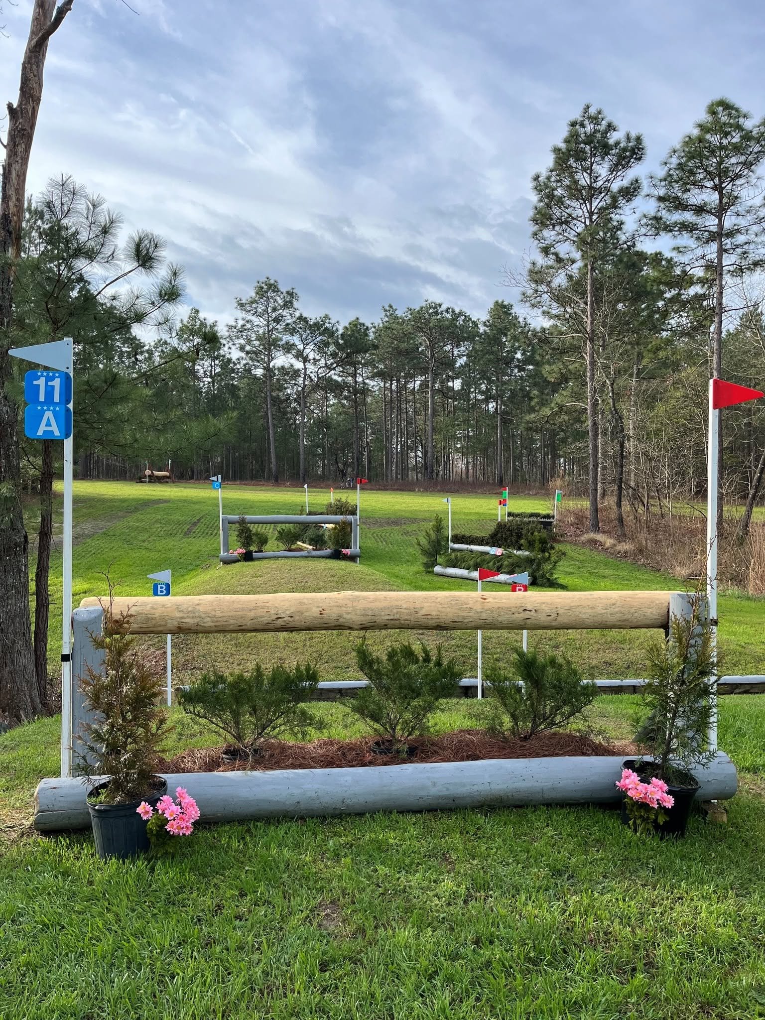 Cross-country course