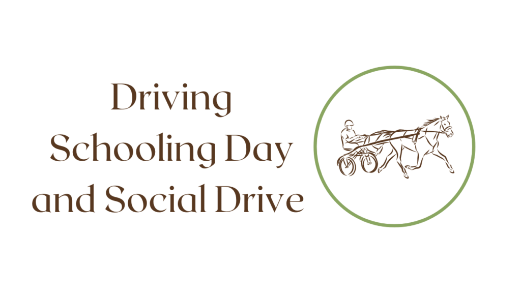 Driving Schooling Day