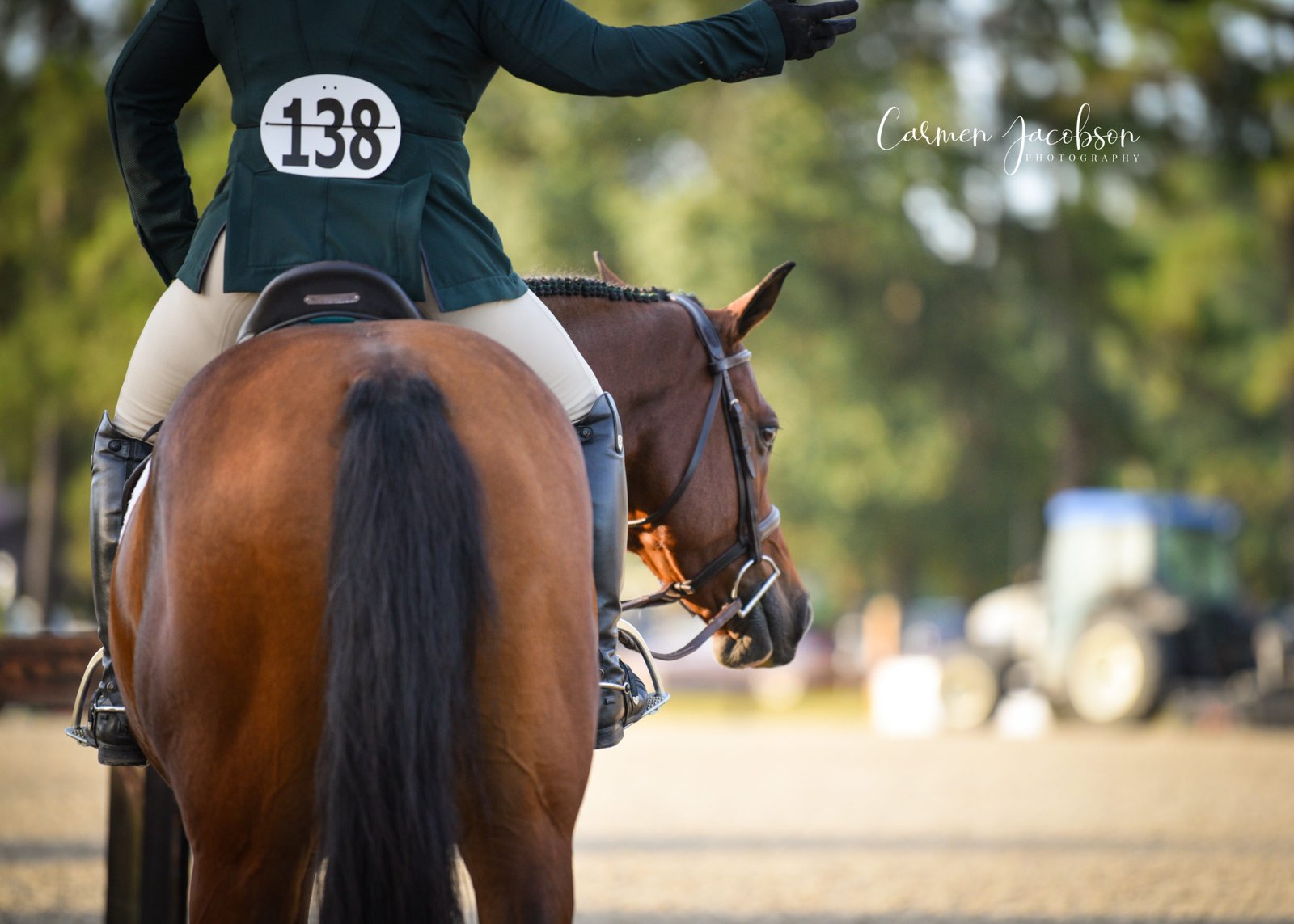Close-up of horse and rider at Sedgefield