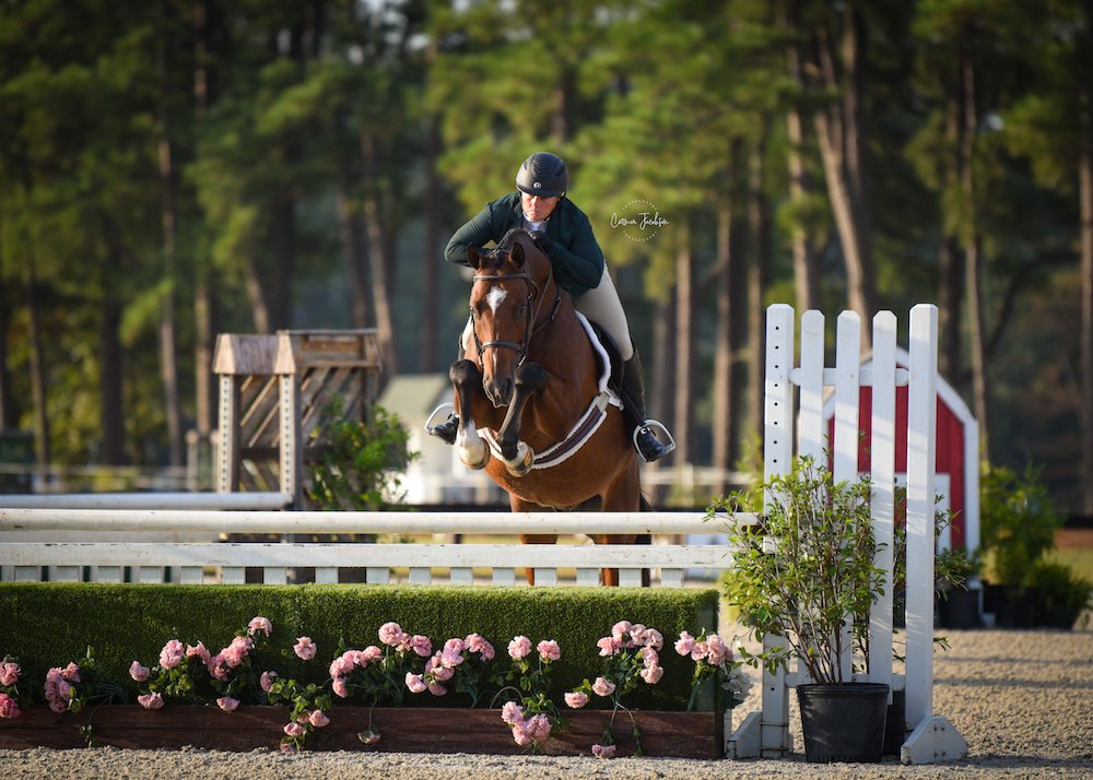 Rider clearing a jump at Sedgefield at the Park