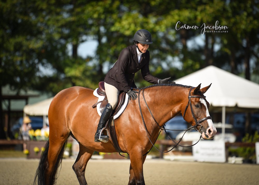 Rider and horse in the competition ring