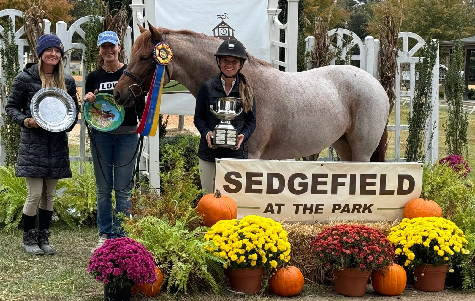 Sedgefield at the Park