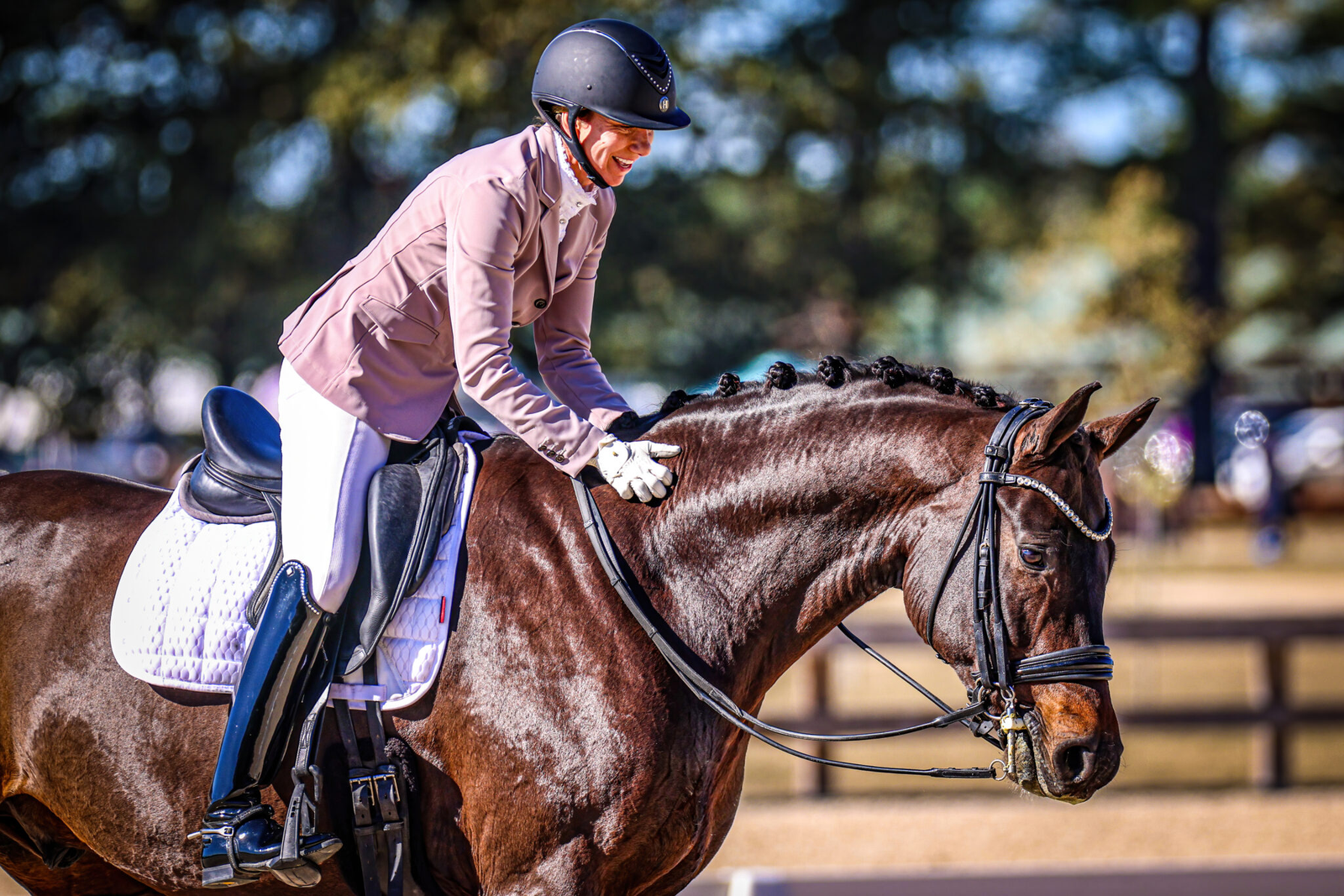 Horse health documentation